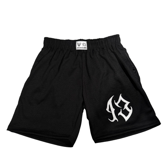 Reloaded mesh shorts